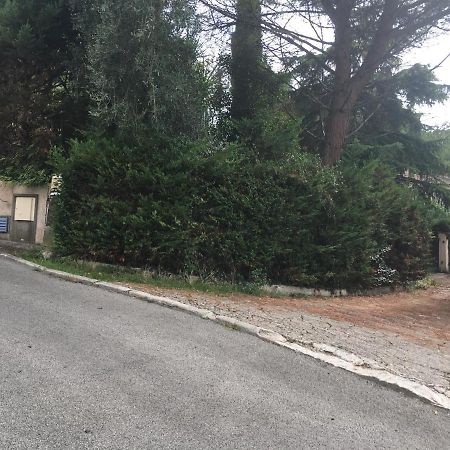 Le Cannet 10Mn Cannes Chambre Independante Etage D'Une Maison Avec Piscine Exterior photo